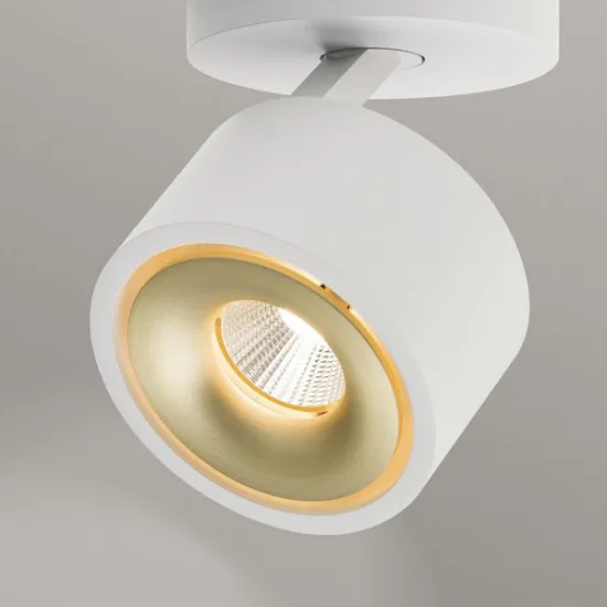 Orion Specter fehér LED mennyezeti spotlámpa (ORI-Str 10-602/1_WH) LED 1 izzós IP20