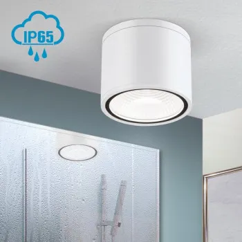 Orion Sputnik fehér fürdőszobai LED mennyezeti lámpa (ORI-DL 7-665_WH) LED 1 izzós IP65