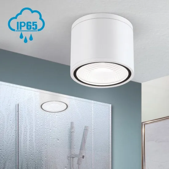 Orion Sputnik fehér fürdőszobai LED mennyezeti lámpa (ORI-DL 7-665_WH) LED 1 izzós IP65