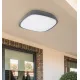 Rábalux Austin antracit-fehér LED kültéri mennyezeti lámpa (RAB-8797) LED 1 izzós IP65