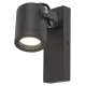 Rábalux Elva antracit kültéri fali lámpa (RAB-7929) GU10 1 izzós IP44