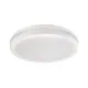 Rábalux Indre fehér LED kültéri mennyezeti lámpa (RAB-77036) LED 1 izzós IP54
