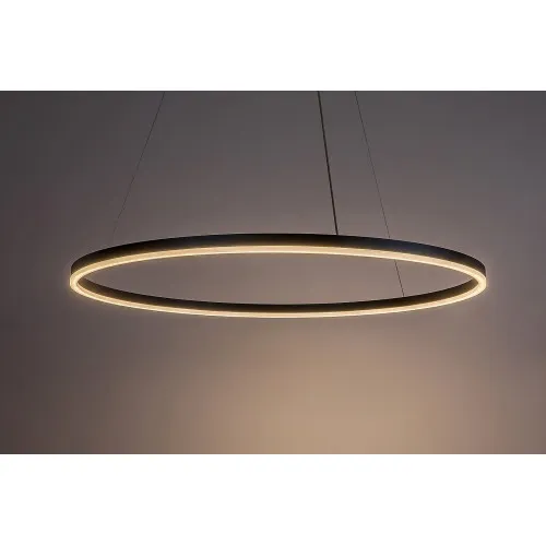 Rábalux Isaure fekete LED függesztett lámpa (RAB-72302) LED 1 izzós IP20