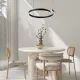Rábalux Silnora fekete LED függesztett lámpa (RAB-72114) LED 1 izzós IP20