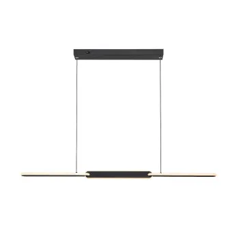 Rábalux Sindri fekete LED függesztett lámpa (RAB-72231) LED 1 izzós IP20 Rábalux Sindri fekete LED függesztett lámpa (RAB-72231) LED 1 izzós IP20