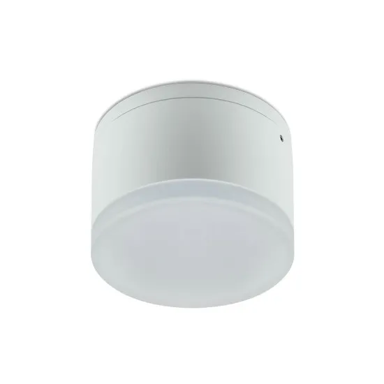 Redo Akron fehér LED kültéri mennyezeti lámpa (RED-90106) LED 1 izzós IP54