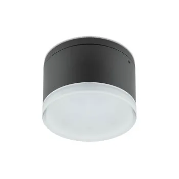 Redo Akron sötétszürke-fehér LED kültéri mennyezeti lámpa (RED-90107) LED 1 izzós IP54