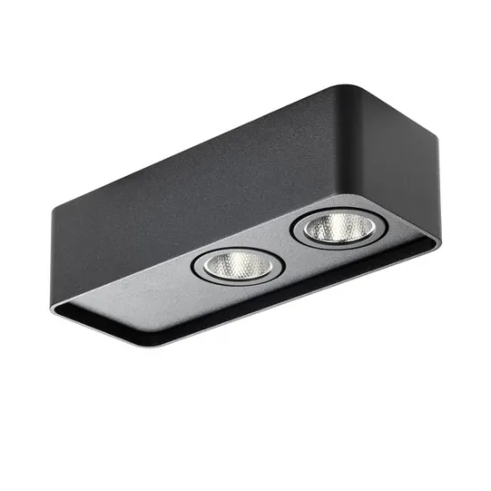 Redo Yuki fekete LED mennyezeti lámpa (RED-01-3692) LED 1 izzós IP20