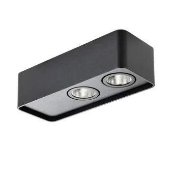 Redo Yuki fekete LED mennyezeti lámpa (RED-01-4233) LED 1 izzós IP20