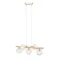 Sigma Avola arany-átlátszó függesztett lámpa (SIG-40799) G9 5 izzós IP20