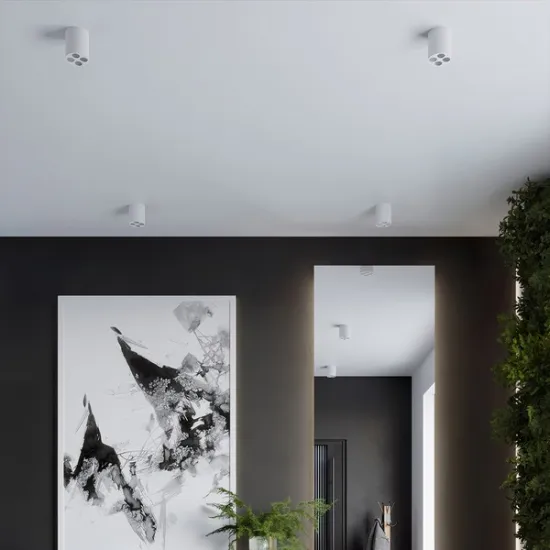 Sollux Zoe fehér LED mennyezeti lámpa (SOL-SL.1209) LED 4 izzós IP20