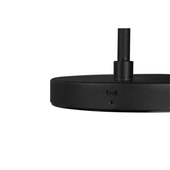 Trio Blake fekete LED állólámpa (TRI-R42111132) LED 1 izzós IP20