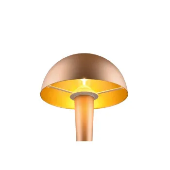 Trio Canaria kávébarna asztali lámpa (TRI-R59561165) E14 1 izzós IP20