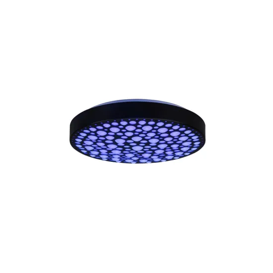 Trio Chizu fekete LED mennyezeti lámpa (TRI-R67161132) LED 1 izzós IP20