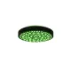 Trio Chizu fekete LED mennyezeti lámpa (TRI-R67161132) LED 1 izzós IP20