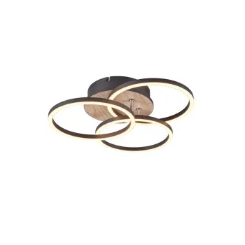 Trio Circle natúr-fekete LED mennyezeti lámpa (TRI-R62823135) LED 1 izzós IP20