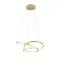 Trio Darvin arany LED függesztett lámpa (TRI-349110179) LED 1 izzós IP20