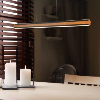 Trio Deacon barna-fekete LED függesztett lámpa (TRI-326610232) LED 1 izzós IP20 Trio Deacon barna-fekete LED függesztett lámpa (TRI-326610232) LED 1 izzós IP20