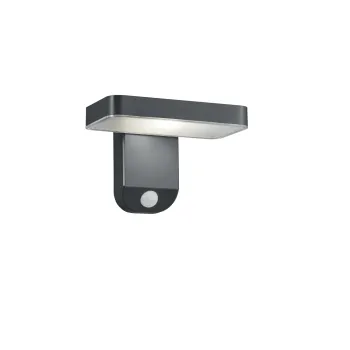 Trio Esquel antracit LED kültéri falikar (TRI-R22261142) LED 1 izzós IP44