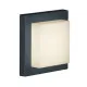Trio Hondo anracit-fehér LED kültéri fali/mennyezeti lámpa lámpa (TRI-228960142) LED 1 izzós IP54