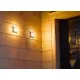 Trio Hondo anracit-fehér LED kültéri fali/mennyezeti lámpa lámpa (TRI-228960142) LED 1 izzós IP54