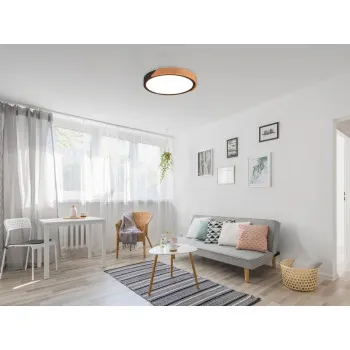 Trio Jano fekete-natúr LED mennyezeti lámpa (TRI-R67201132) LED 1 izzós IP20