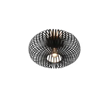 Trio Johann fekete mennyezeti lámpa (TRI-606900132) E27 1 izzós IP20