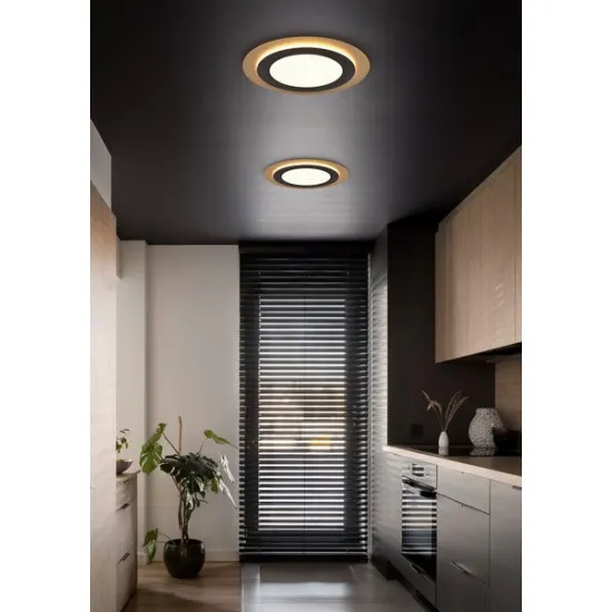 Trio Morgan fekete-arany LED mennyezeti lámpa (TRI-641519280) LED 1 izzós IP20