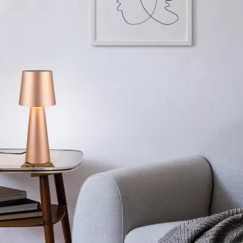 Trio Nubian barna asztali lámpa (TRI-562900165) E27 1 izzós IP20