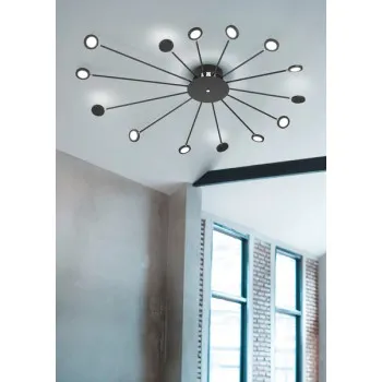 Trio Peacock fekete LED mennyezeti lámpa (TRI-679511532) LED 1 izzós IP20