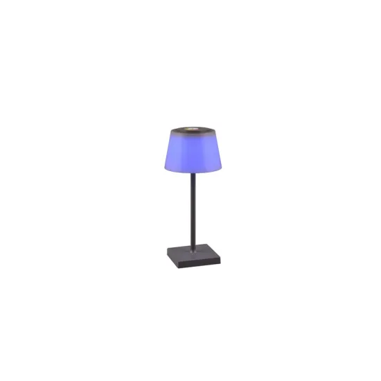 Trio Sanchez antracit-fehér LED kültéri asztali lámpa (TRI-R54126142) LED 1 izzós IP44