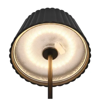 Trio Suarez fekete LED kültéri állólámpa (TRI-R47706132) LED 1 izzós IP44