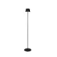 Trio Suarez fekete LED kültéri állólámpa (TRI-R47706132) LED 1 izzós IP44