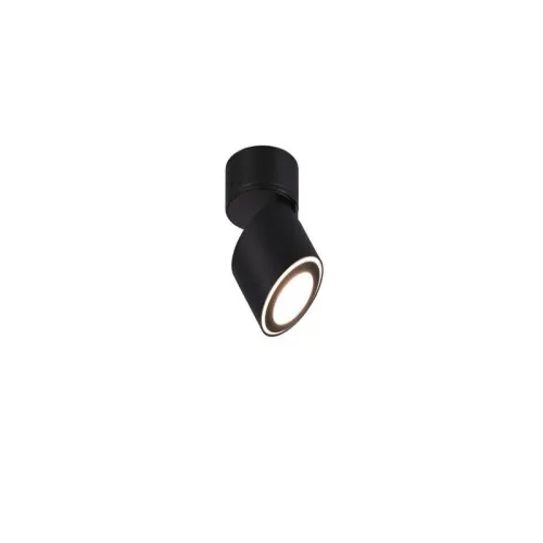 Trio Taurus fekete LED mennyezeti spotlámpa (TRI-652910132) LED 2 izzós IP20