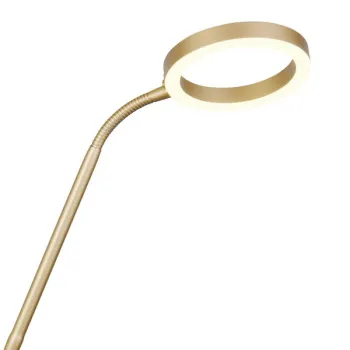Trio Willis arany LED állólámpa (TRI-449510279) LED 2 izzós IP20