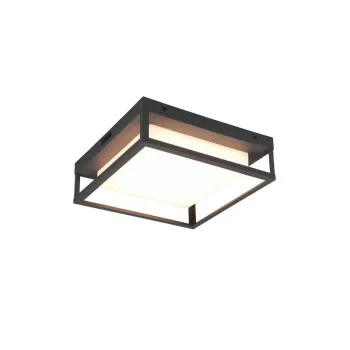 Trio Witham anracit-fehér LED kültéri mennyezeti lámpa (TRI-677860142) LED 1 izzós IP54