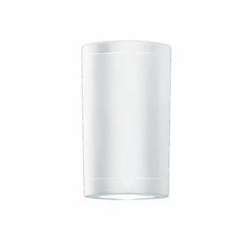 Zambelis  fehér kültéri mennyezeti spotlámpa (ZAM-E308) GU10 1 izzós IP54