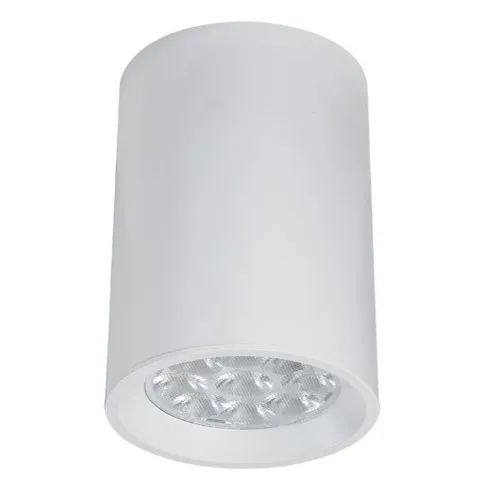 Zambelis  fehér mennyezeti spotlámpa (ZAM-S002) GU10 1 izzós IP20