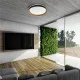 Zuma Bois barna-fehér LED mennyezeti lámpa (ZU-CL2204003-390MBWT) LED 1 izzós IP20