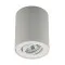Zuma Rondoc fehér mennyezeti spotlámpa (ZU-20038-WH-N) GU10 1 izzós IP20