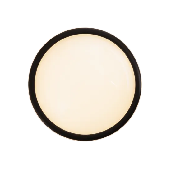 Maxlight Lotto fekete LED mennyezeti lámpa (MAX-C0238) LED 1 izzós IP20